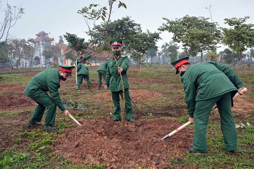 Trồng rừng và văn hóa tiêu dùng đồ gỗ