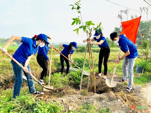 Tuổi trẻ Đà Nẵng tổ chức Tết trồng cây “Đời đời nhớ ơn Bác Hồ”