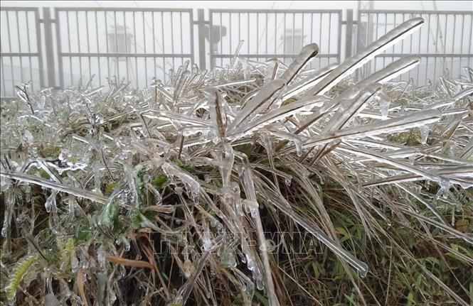 Lạng Sơn: Băng giá xuất hiện trên đỉnh Mẫu Sơn