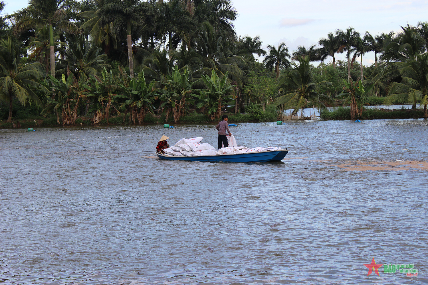 Kiểm soát tốt để phát triển ổn định ngành cá tra năm 2022