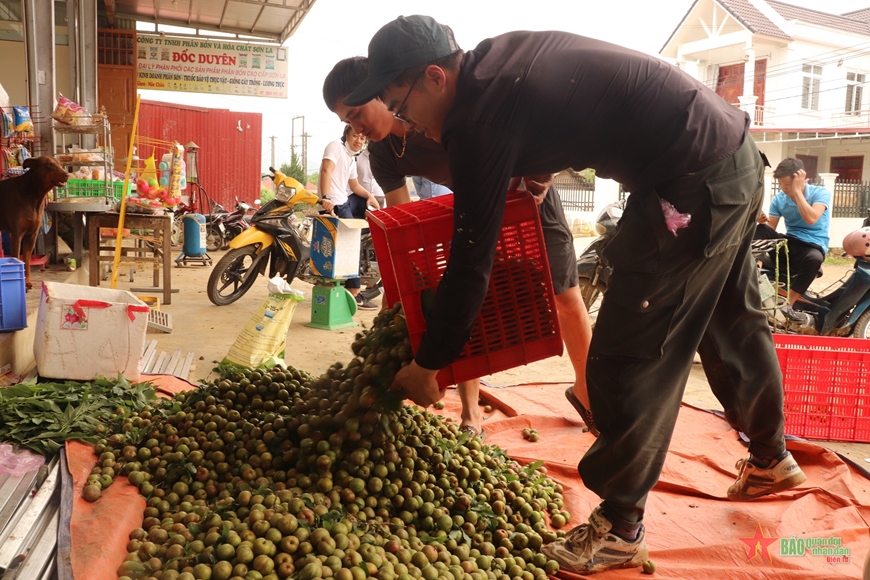 Mận trái mùa Mộc Châu