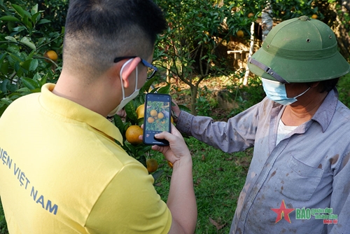 Sớm đưa nông sản của Việt Nam lên sàn thương mại điện tử