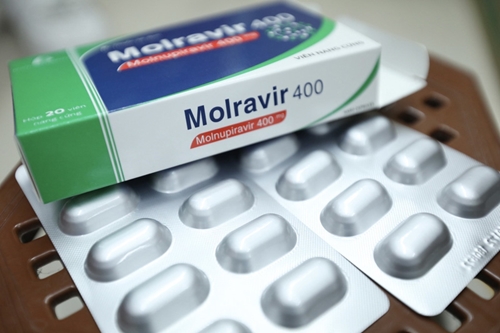 Bộ Y tế hướng dẫn sử dụng thuốc Molnupiravir và Remdesivir trong điều trị Covid-19