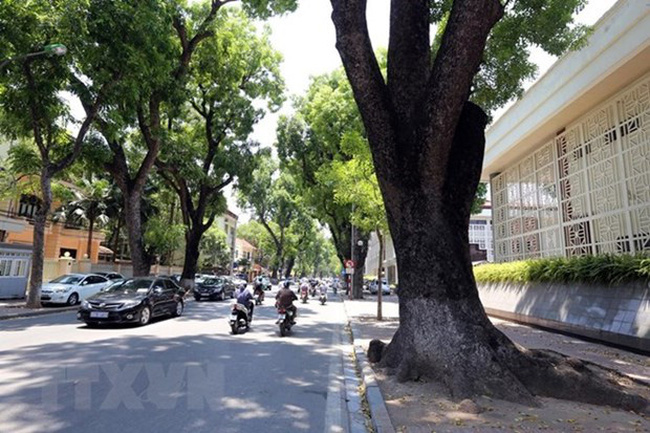 Thời tiết ngày 3-3: Bắc Bộ ấm dần lên, Nam Bộ có nơi nắng nóng