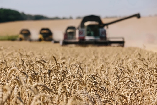 Ukraine siết chặt xuất khẩu nông sản thiết yếu