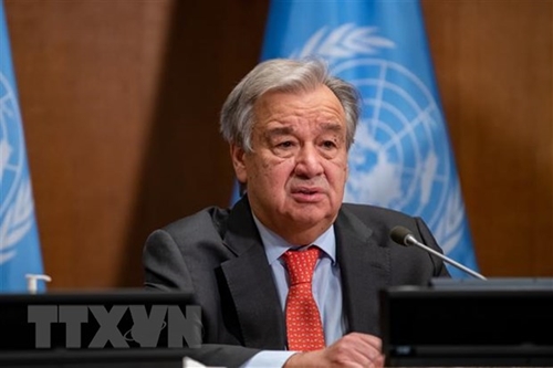 Liên hợp quốc kêu gọi thế giới quyết tâm theo đuổi giải pháp hòa bình cho các cuộc xung đột