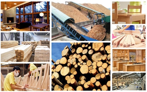 Đặt mục tiêu xuất khẩu gỗ và lâm sản đạt 20 tỷ USD vào năm 2025

