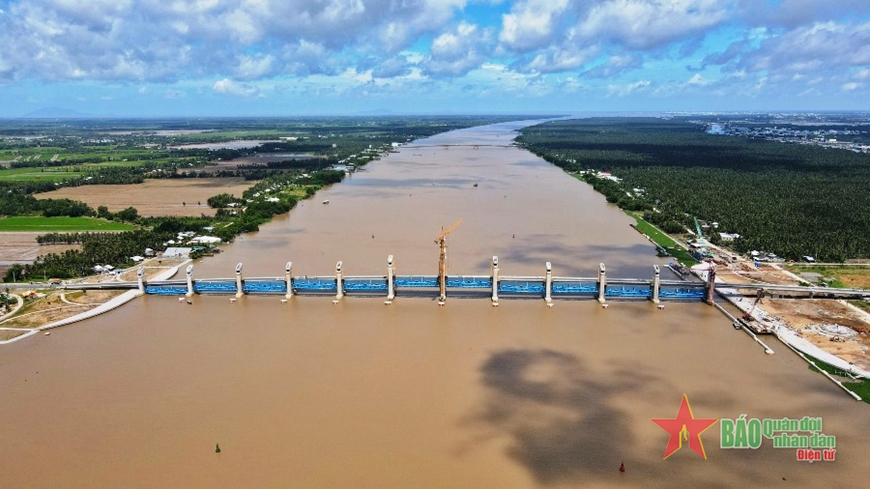 Đồng bằng sông Cửu Long: Hiệu quả các giải pháp chống hạn hán và mặn xâm nhập