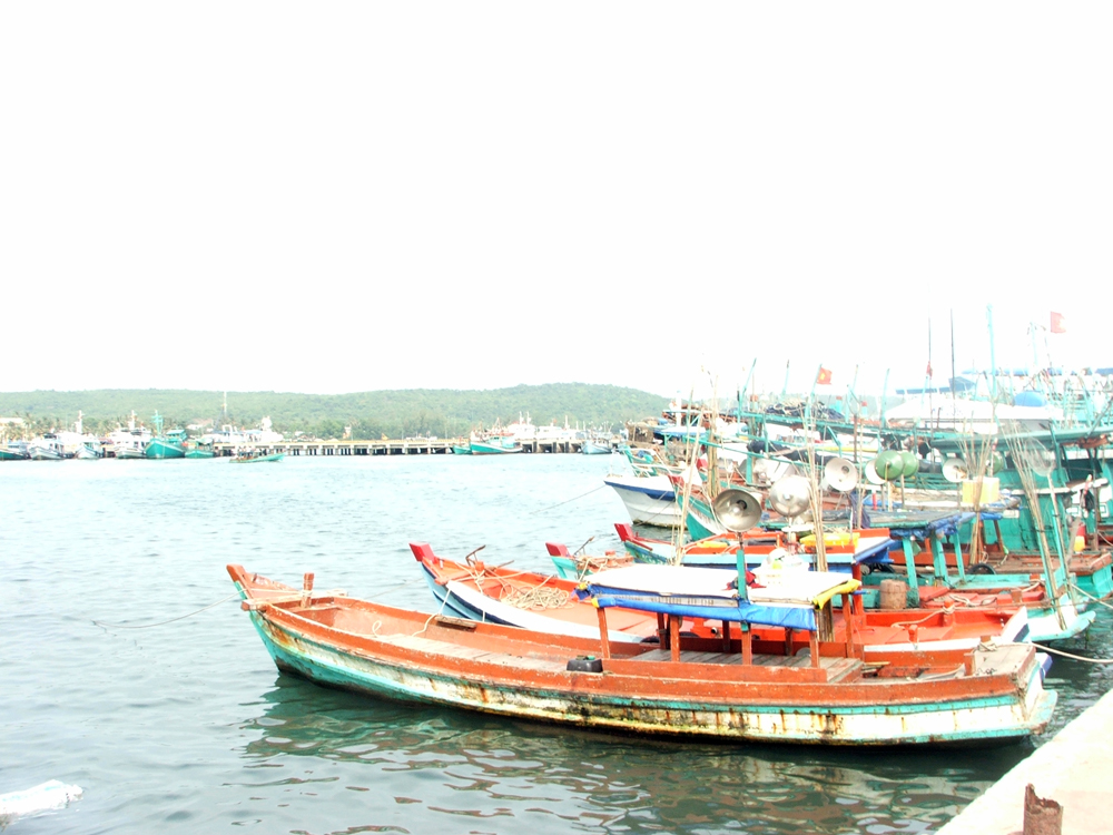 Nâng cao hiệu quả khai thác chế biến, tiêu thụ thủy sản 