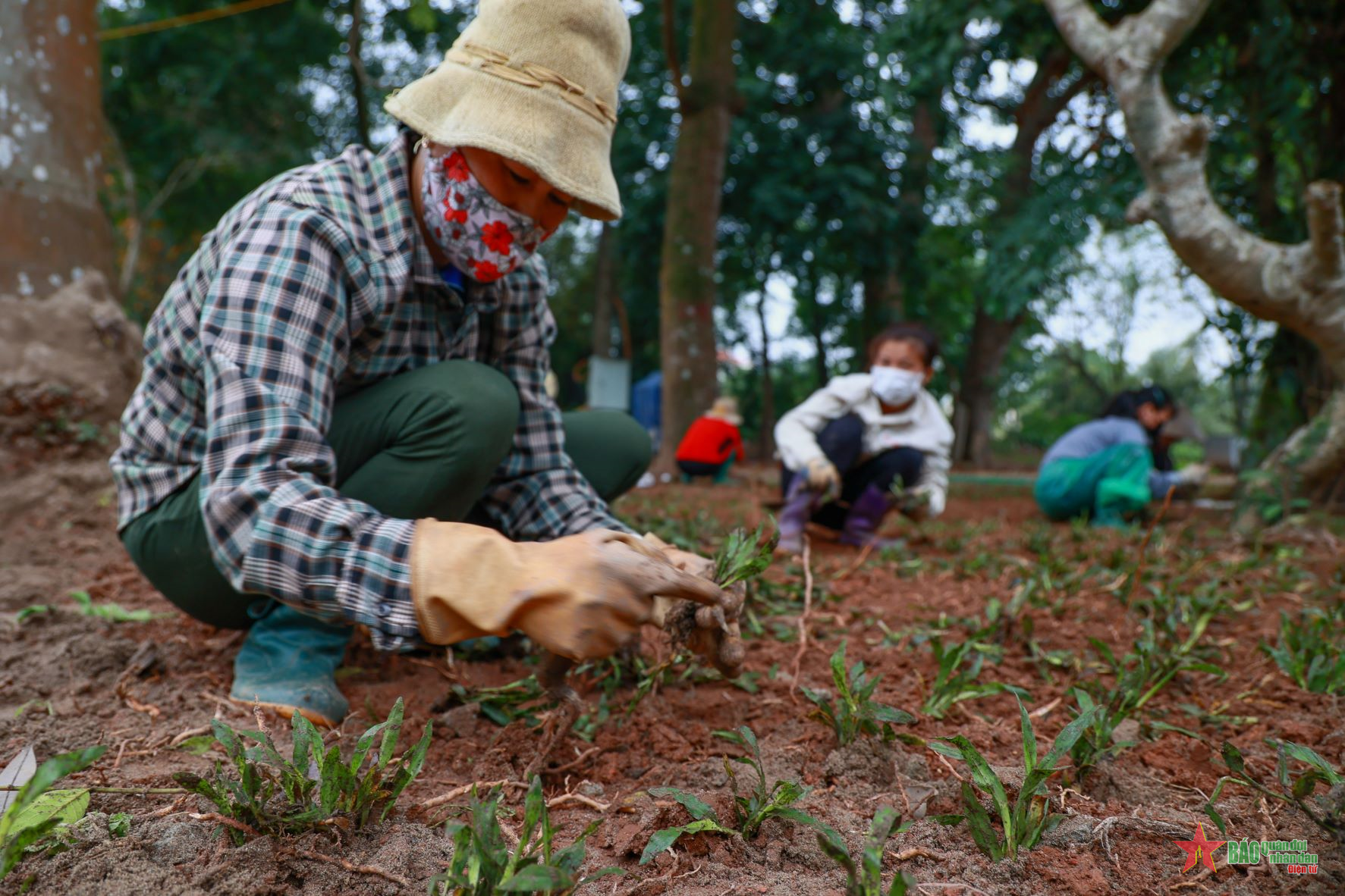 Cận cảnh tuyến phố đi bộ số 4 của Hà Nội tại thành cổ Sơn Tây sắp hoạt động