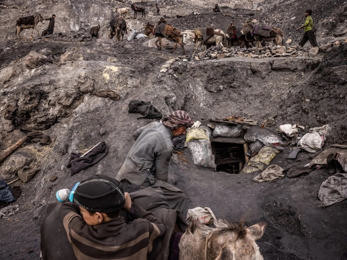 Đánh cược sinh mệnh vì miếng cơm manh áo