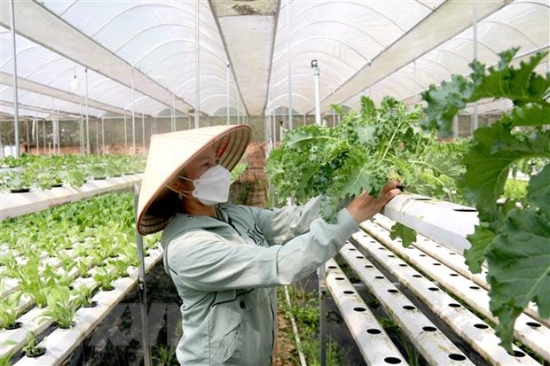 Phát Triển Kinh Tế Tập Thể, Hợp Tác Xã Là Tất Yếu Khách Quan