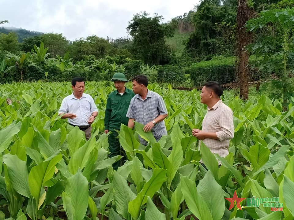 Giúp bạn nghĩa tình, thiết thực