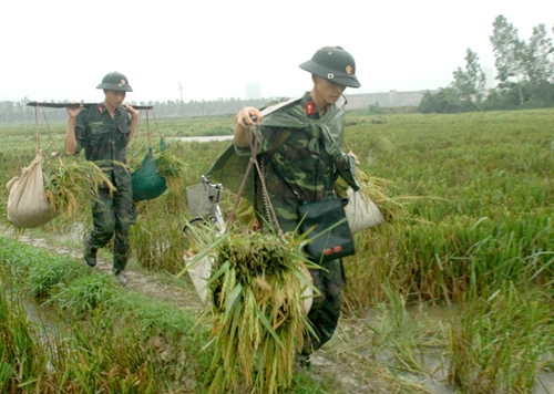 Giữ gìn, phát huy tính thống nhất trong quân đội