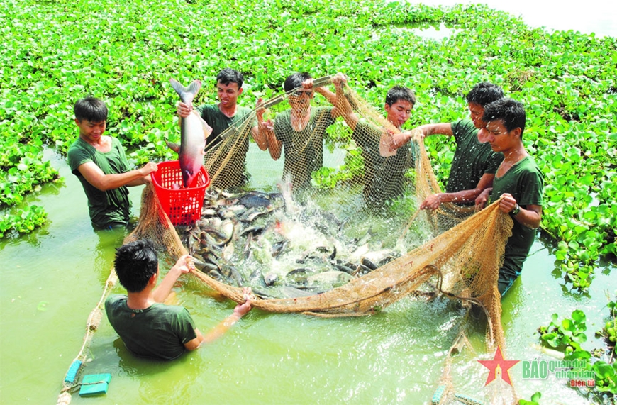 Đẩy mạnh chuyển đổi số trong công tác hậu cần quân đội