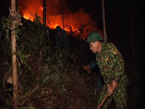 Hơn 200 bộ đội, dân quân chữa cháy rừng ở huyện Tam Nông