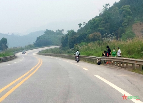 Vi phạm trật tự, an toàn giao thông trên cao tốc Nội Bài-Lào Cai