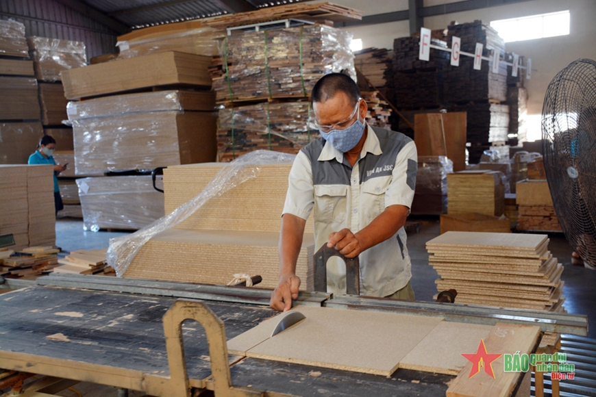 Sớm có giải pháp để xây dựng vùng nguyên liệu gỗ phục vụ sản xuất, chế biến