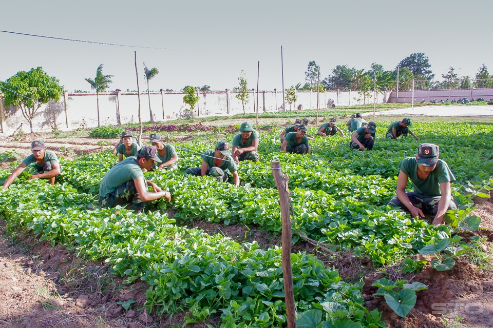 Nhấn vào ảnh để phóng to Ngày 30-4-1975: Ngày giải phóng hoàn toàn miền Nam, thống nhất đất nước