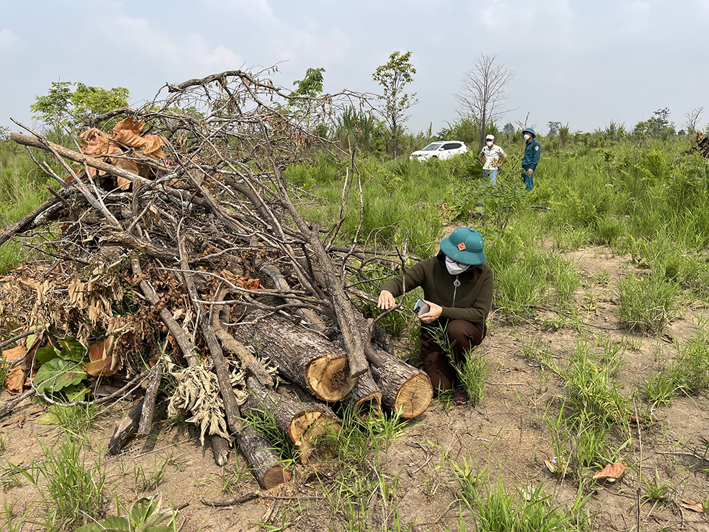 Nan giải bài toán giữ rừng Tây Nguyên