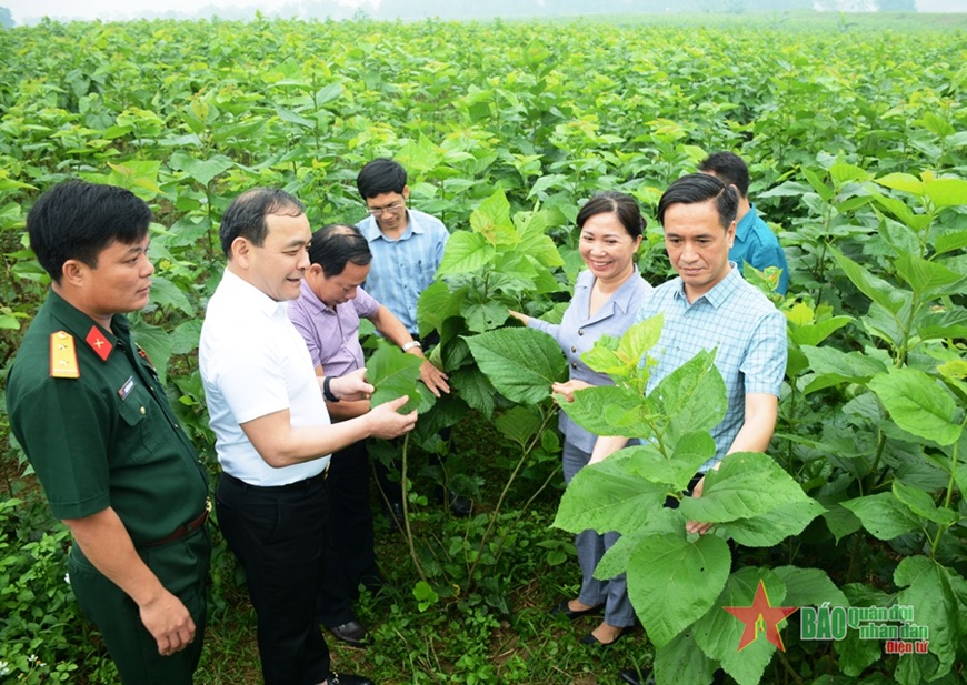 Xây dựng Đảng mạnh từ gốc - thực tiễn sinh động của Yên Bái