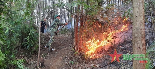 Lực lượng vũ trang tỉnh Phú Thọ kịp thời chữa cháy rừng 
