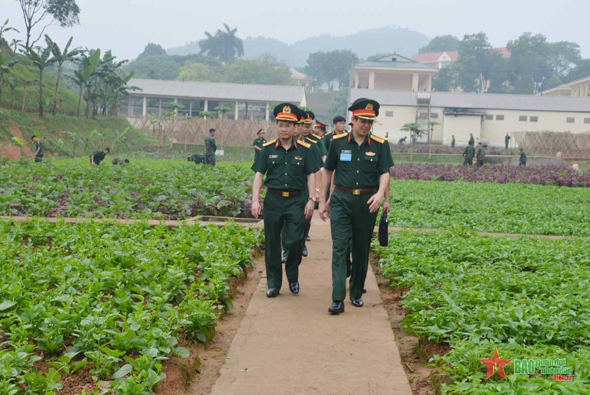 Tổng cục Hậu cần phúc tra công tác quân nhu tại Trung đoàn 174