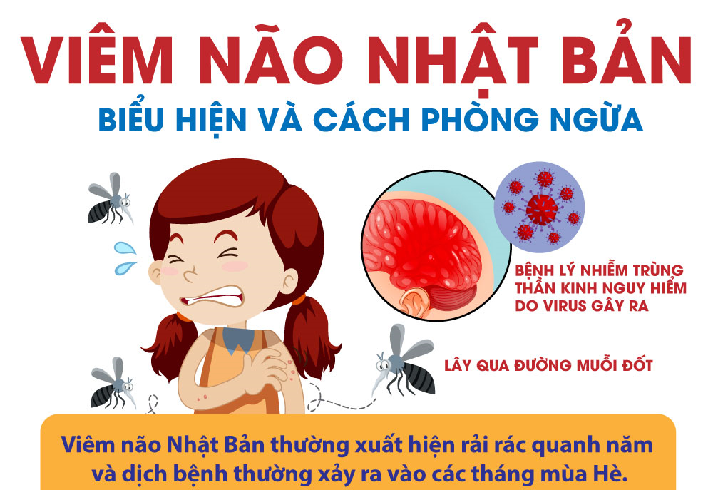 Viêm não Nhật Bản: Biểu hiện và cách phòng ngừa