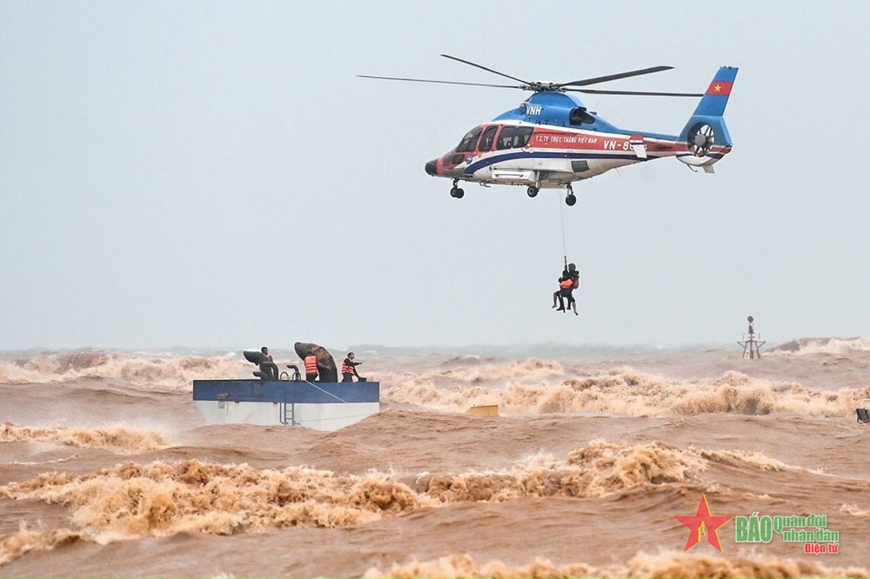 Vững vàng cánh bay trên biển xanh, rừng thẳm