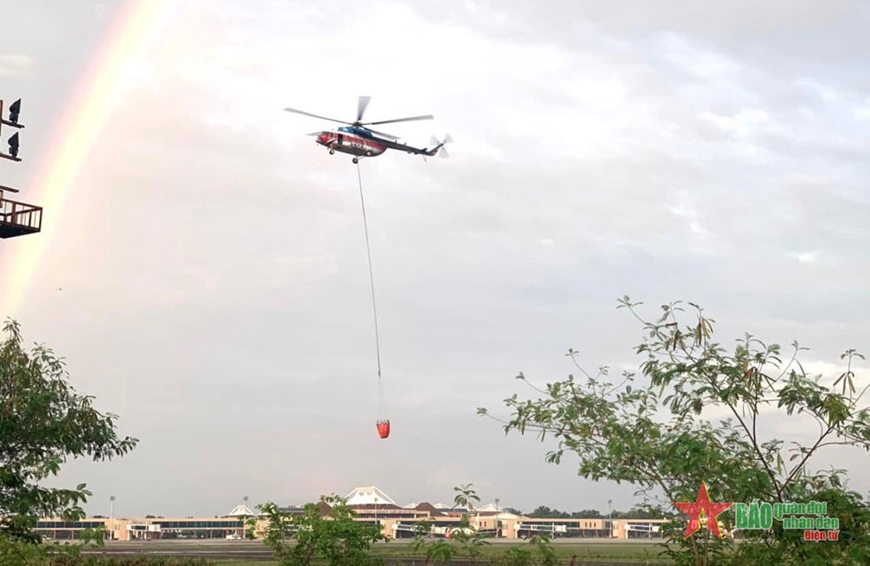 Vững vàng cánh bay trên biển xanh, rừng thẳm