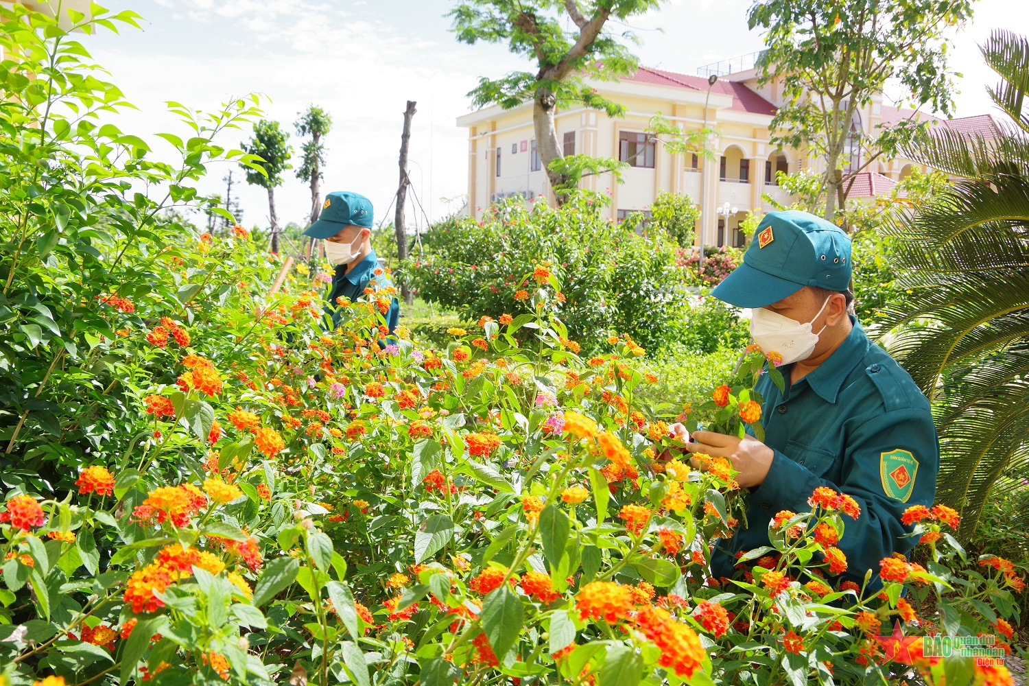 Chủ động triển khai xây dựng vườn mẫu