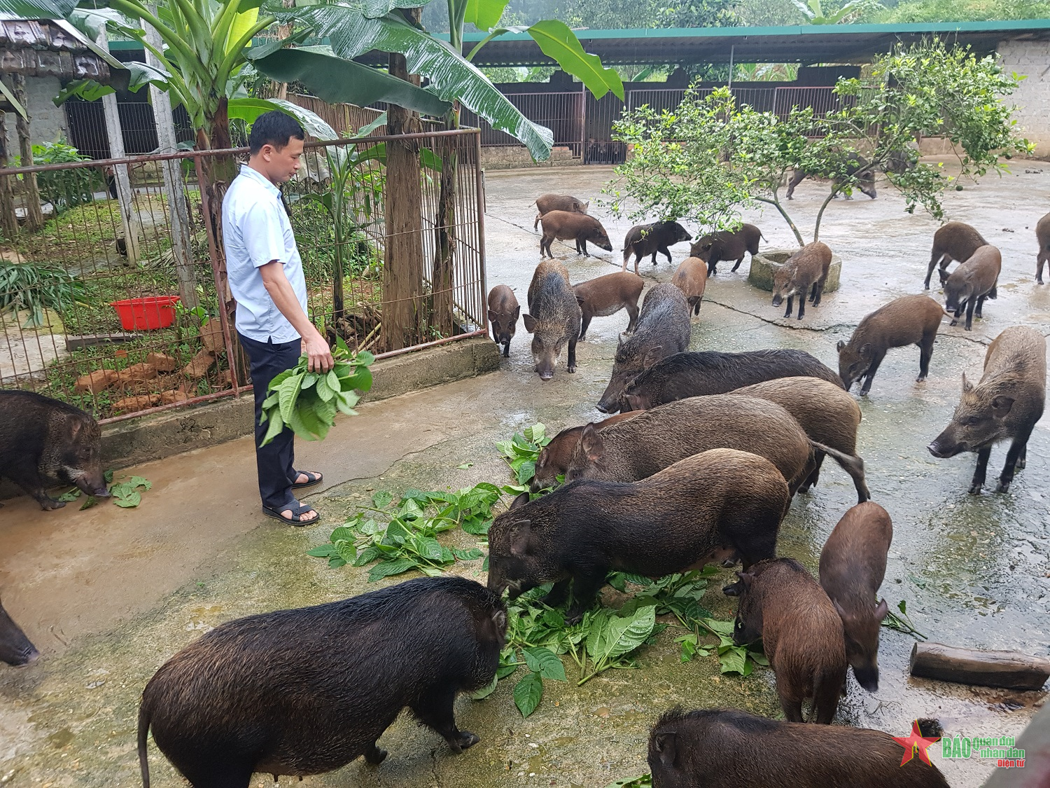 Bài 5: Làm gì để khai mở sức dân? (tiếp theo và hết)