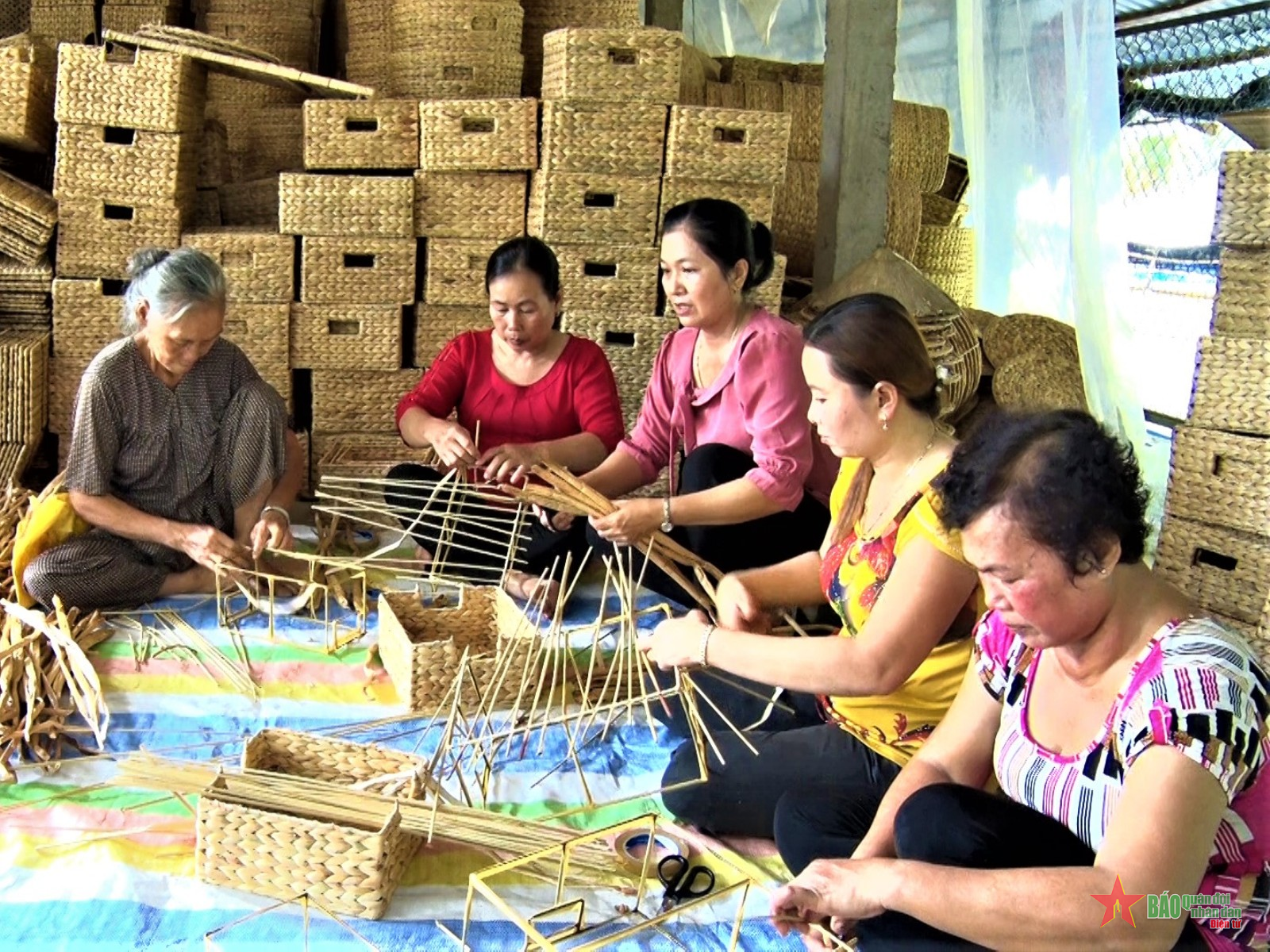 Thu nhập ổn định từ cây lục bình