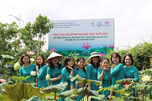 Tạo “bệ đỡ” cho du lịch nông nghiệp phát triển ở Nghệ An

