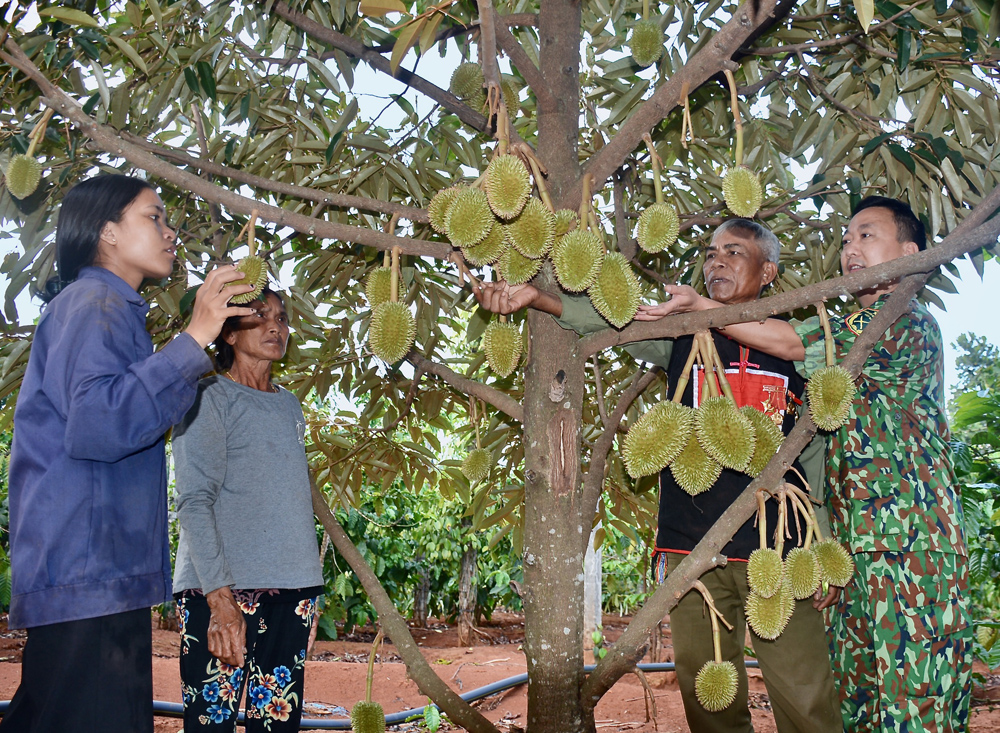 Miệt mài xây 