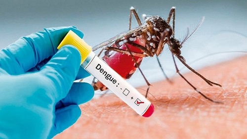 Bộ Y tế đề nghị các địa phương không để dịch sốt xuất huyết bùng phát trên diện rộng