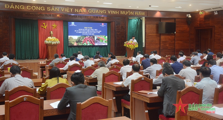 Cần có cơ chế tín dụng đặc thù cho tái canh cà phê