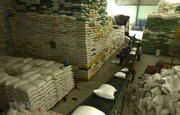 Tổng cục Dự trữ Nhà nước triển khai kế hoạch mua thóc dự trữ quốc gia