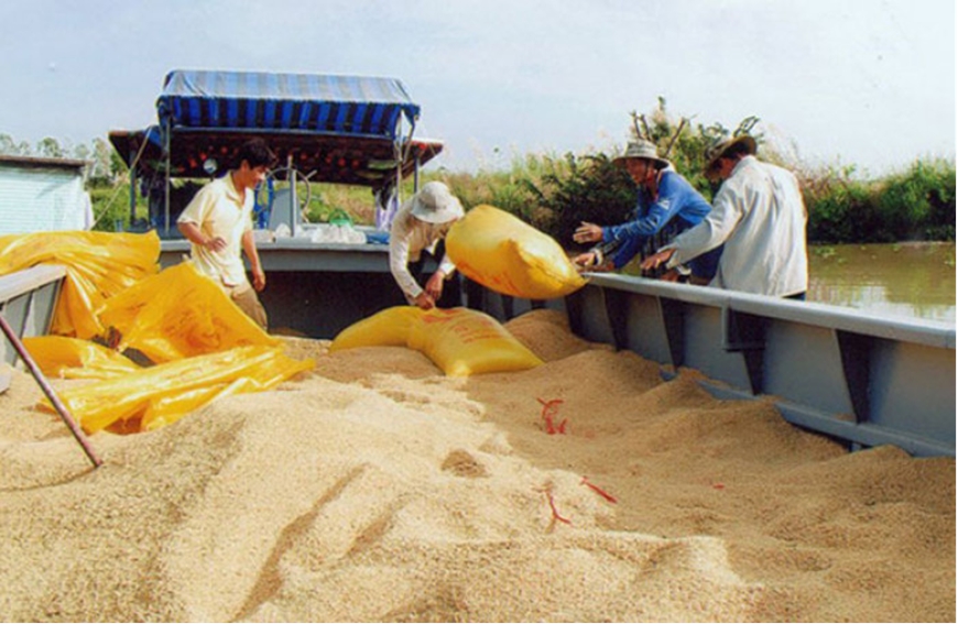 Đưa gạo chất lượng cao tiến sâu vào thị trường ASEAN