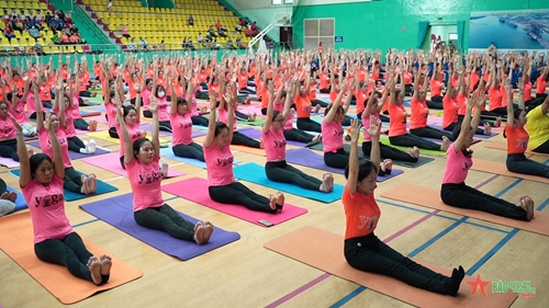 Hơn 600 người đồng diễn tại Ngày quốc tế yoga
