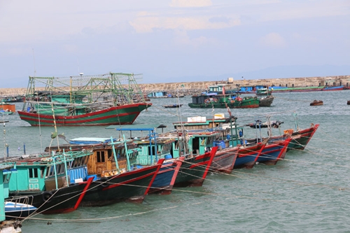 Từ 10 giờ ngày 2-7, Quảng Ninh ngừng cấp phép tàu thủy ra khơi 