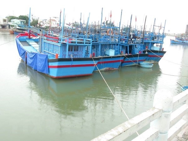 Nam Định chủ động thông báo cho các tàu thuyền trên biển vào nơi tránh trú