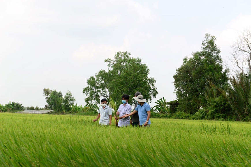 Thích ứng và phát triển “thuận thiên”