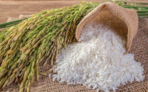 Gạo Việt Nam có giá bình quân cao nhất khi xuất khẩu sang Anh
