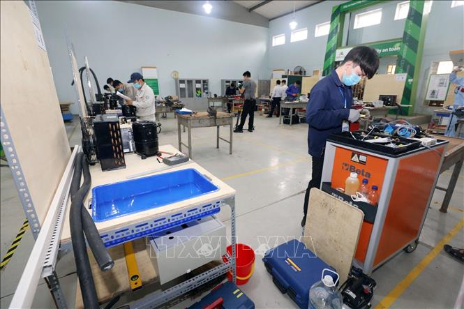 Nguyên tắc, nội dung đánh giá kỹ năng nghề quốc gia được quy định như thế nào?