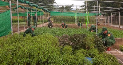 www.qdnd.vn