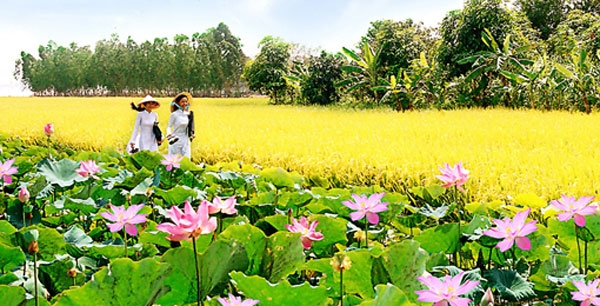 Ảnh minh họa: Báo Biên phòng.