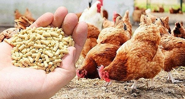 Quy định mới về xuất nhập khẩu liên quan đến chăn nuôi