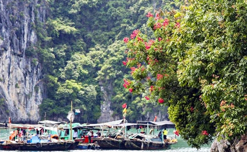 Quảng Ninh phát triển du lịch gắn với bảo tồn