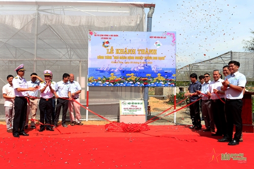 ダラット花協会は、きれいな野菜を栽培する温室のブリゲード 162 を紹介します